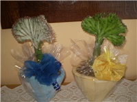 ce7724c5-Picture 084.jpg